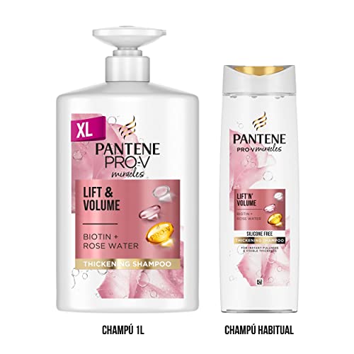 Pantene Champú Con Biotina Y Agua De Rosas, Champú Hidratante Y Voluminizador, Botella XL Con Dispensador, 1L