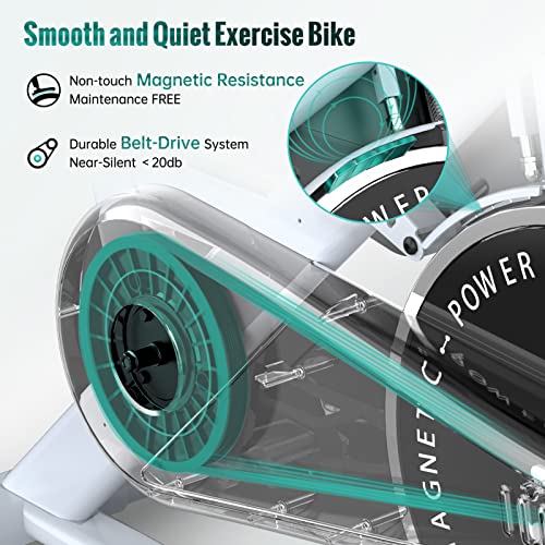 PASYOU Bicicleta Estática Magnética Con Resistencia Ajustable Para Gimnasio En Casa/Ciclo Indoor Con Correa De Transmisión Con Pantalla De RPM y Soporte Para Ipad