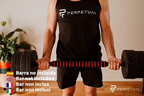 PERPETUAL Discos Pesas 1KG/1.25KG/1.5KG/2KG/2.5KG/3KG/5KG (2 Unidades) Agujero 25mm Piezas Sueltas Musculación Mancuernas Barra Peso Libre Fitness Deporte Bodybuilding Compatibles Grandes Marcas