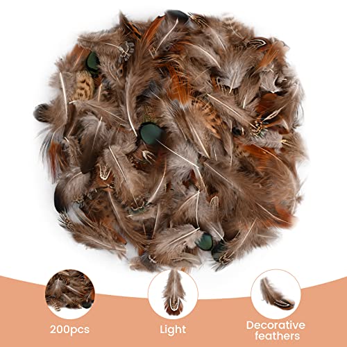 Pinsheng 10 Estilos Plumas Artesanales Surtidas, 200 Piezas Plumas de Pollo Naturale Plumas de Faisán Decorado Manualidades para DIY Pendiente Alas Dream Catcher Artesanía Actividades Boda Decoración