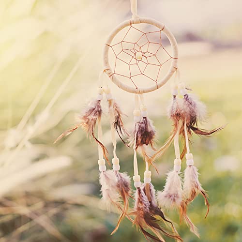 Pinsheng 10 Estilos Plumas Artesanales Surtidas, 200 Piezas Plumas de Pollo Naturale Plumas de Faisán Decorado Manualidades para DIY Pendiente Alas Dream Catcher Artesanía Actividades Boda Decoración