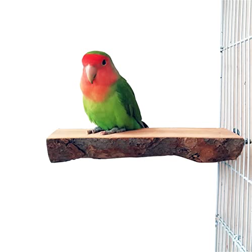 Plataforma De Percha De Pájaro De Madera De Manzana Natural, Accesorios De Jaula De Pájaros De Rama, Molienda De Garras, para Periquitos, Cacatúas, Conures, Pinzones, Tortolitos, Etc. (1 PC)