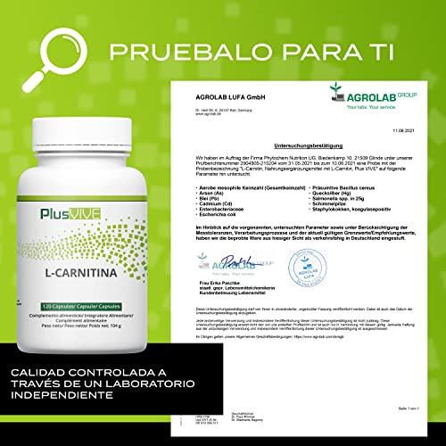 Plusvive - Suplemento de L-carnitina de gran potencia,1000 mg, 120 cápsulas