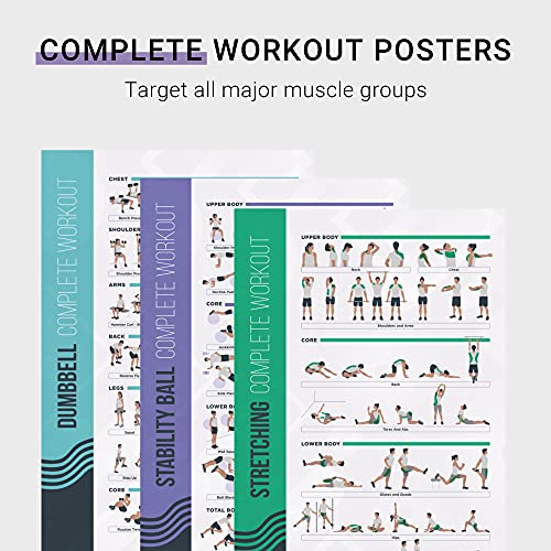 PosterMate Póster Ejercicio en Casa Pesas y Mancuernas Fitmate - Pack 8 Tablas Ejercicios Gimnasio con Pesos Libres, Kettlebell, Calistenia - Ejercicios Fitness en Casa Tabla de Rutinas (51 x 76 cm)