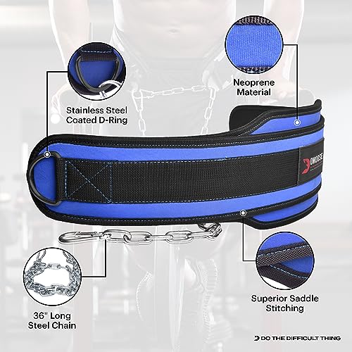 Premium Dip Belt con cadena de DMoose Fitness - Cadena de acero resistente de 36"- Maximice sus entrenamientos de levantamiento de pesas y culturismo con duradero Dipping Belt