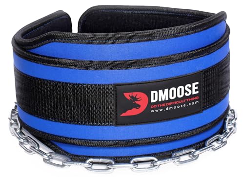 Premium Dip Belt con cadena de DMoose Fitness - Cadena de acero resistente de 36"- Maximice sus entrenamientos de levantamiento de pesas y culturismo con duradero Dipping Belt