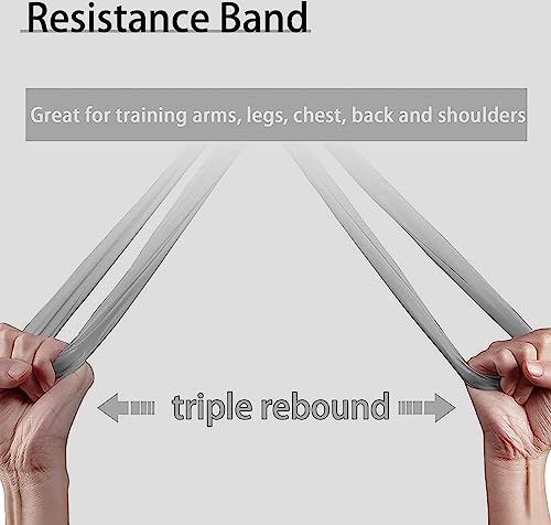 PROIRON Bandas Elasticas Fitness sin Látex Resistencia Bandas de Ejercicios para Pilates Yoga Entrenamiento de Fuerza, Crossfit, Mujer y Hombre en el Hogar Entrenamiento de Fuerza 1.5m y 2m