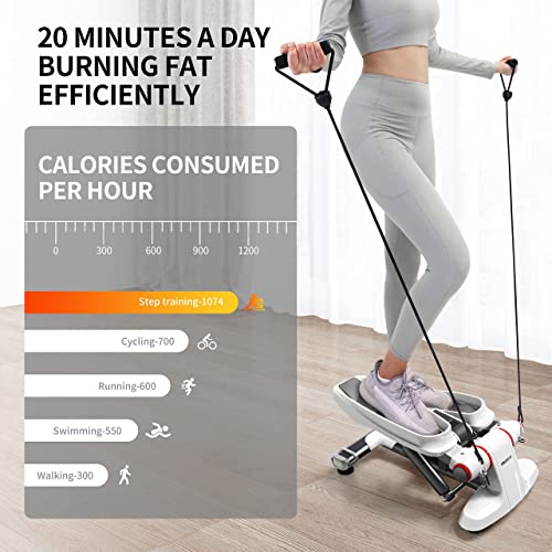 PROIRON Stepper con Pedales Grandes y cómodos, Carga 121kg -Máquina de Step para Hacer Ejercicio de gluteos y Cardio -Step Fitness con Pantalla Multifuncional y Cintas de Entrenamiento…