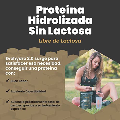 Proteína Sin Lactosa de HSN Evohydro 2.0 | Sabor Chocolate 500 g = 17 Tomas por Envase | Aislado de Proteína Hidrolizada de Suero Lácteo | Hydro Whey | No-GMO, Vegetariana, Sin Gluten