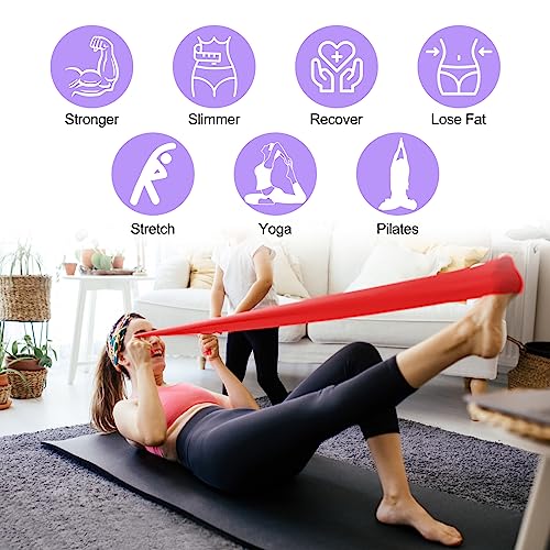 Relota Set de 4 Gomas Elasticas Musculacion, Bandas Elasticas Musculacion 4 Niveles de Resistencia, Cintas Elasticas Fitness con Bolsa de Almacenamient para Entrenamiento de Fuerza, Yoga, Pilates