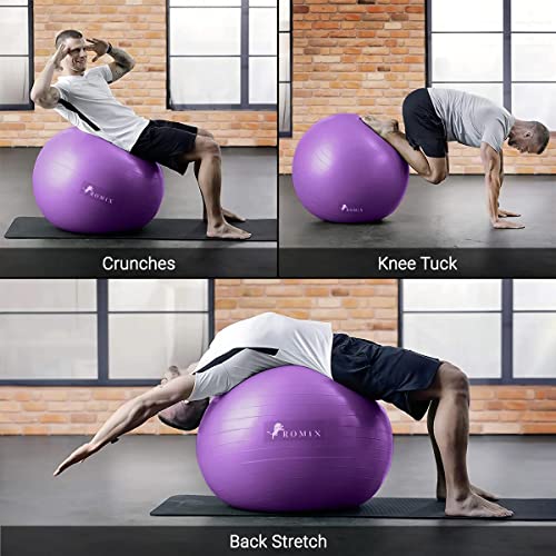 ROMIX Pelota de Ejercicio, 65cm Grande Pelota de Pilates Embarazadas con Bomba Rápida, Anti-Reventones Balón para Sentarse Bola de Gimnasia para Fitness Equilibrio Yoga Entrenamiento (Púrpura)