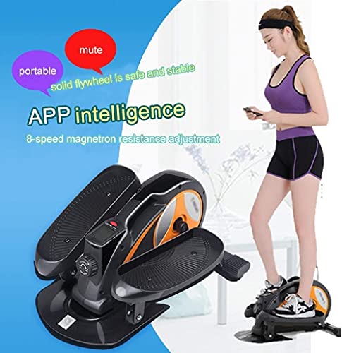 RsFiL Mini Bicicleta de Entrenamiento para el hogar, máquina de Ejercicios elíptica Paso a Paso, Ordenador de Entrenamiento, Pantalla Digital, Resistencia Variable, Ahorro de Espacio