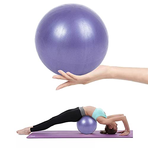 RUGUOA Pelota de Gimnasia Bola de Yoga Anti-Reventones Balón Pilates Antideslizante 25cm Pelota de Ejercicio Balon de Ejercicio para Fitness,Embarazo Sentarse,Fitball,Equilibrio,Abdominal-Púrpura