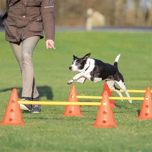 Shengruili Perro Set de Agilidad,Entrenamiento de Agilidad para Perros,Obstáculos de Entrenamiento,Agilidad para Perros,Perro Equipo de Entrenamiento (Amarillo-40)