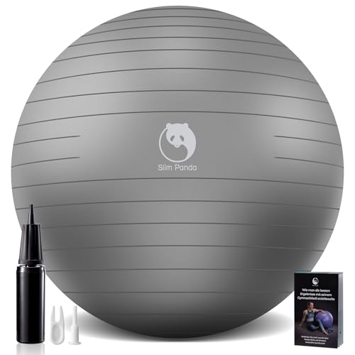 Slim Panda Pelota de Pilates 65cm, Antiexplosión Antideslizante PVC Pelota de Gimnasia, Soft Balones de Yoga para Terapia Geriátrica, Domicilio, Fitness, Entrenamiento del Equilibrio (Plateado)