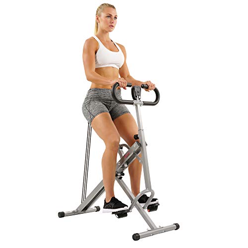 Sunny Health and Fitness - Máquina de Remo Vertical Row-N-Ride, para Sentadillas, Color Gris, Talla única