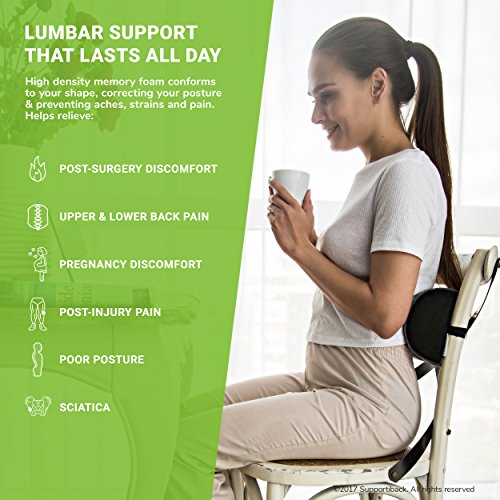 Supportiback Cojín Lumbar en D para Terapia de Postura con Espuma de Memoria, cojín ergonómico para casa, Oficina, Coche, Viajes, Descansa y previene Dolor de Espalda Superior e Inferior, Gris (SB)