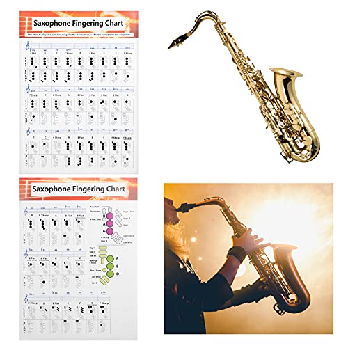 Tabla de digitación portátil para saxofón, guía básica, tabla de comparación de ejercicios para principiantes de saxofón