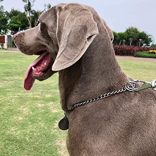 Tadipri Collar Cadena Perro Para Perros Collar De Estrangulamiento De Acero Inoxidable 304 Fuerte Ajustable Y Duradero Para Perros Pequeños Medianos Y Grandes Para Entrenar Caminando(45Cm)