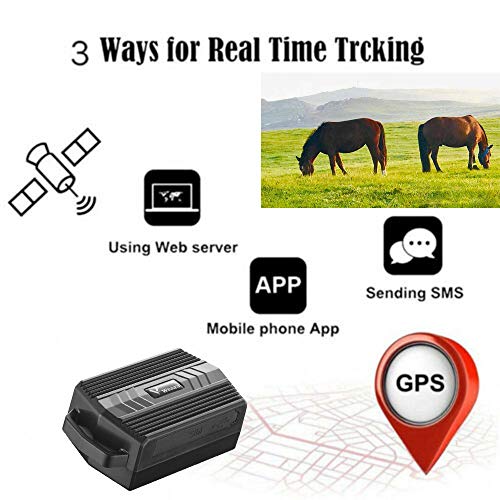 TKMARS GPS Tracker Collar Perros para Perros de Caza Vaca Oveja 3000mAh IP66 Impermeable Farm Pet Tracker Collar de Animales Grandes con aplicación Gratuita sin suscripción