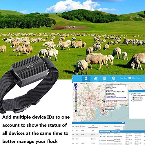 TKMARS GPS Tracker Collar Perros para Perros de Caza Vaca Oveja 3000mAh IP66 Impermeable Farm Pet Tracker Collar de Animales Grandes con aplicación Gratuita sin suscripción