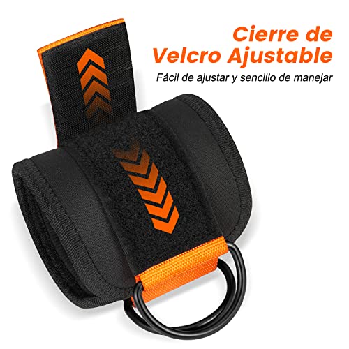 Tobilleras Poleas Gym, Tobillera para Polea, 2 Piezas Tobillo Correas Acolchado para Gym Cable Maquinas, Ankle Aggares para en Casa Piernas Gluteos Entrenamiento Ejercicio Mujeres y Hombres