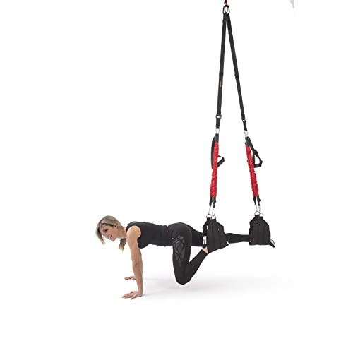 TRENDINGIFT Fly MAX Pro, Estructura Funcional para Entrenamiento Suspensión, Ejercicios de Suspensión más Variados y Divertidos, 0 Riesgo de Lesiones, Accesorios,