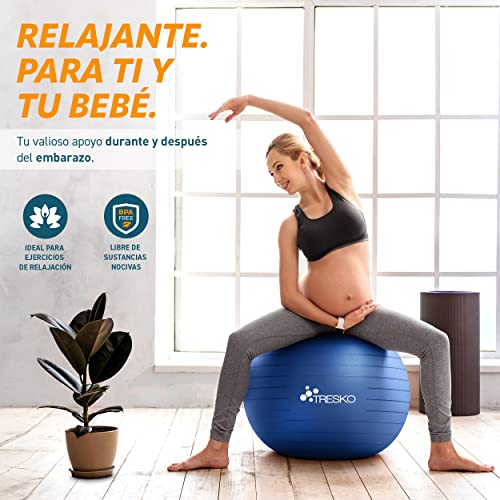 TRESKO® Pelota de Gimnasia Anti-Reventones | Bola de Yoga Pilates y Ejercicio | Balón para Sentarse | Balon de Ejercicio para Fitness | 300 kg | con Bomba de Aire (Cool Grey Blue, 65cm)