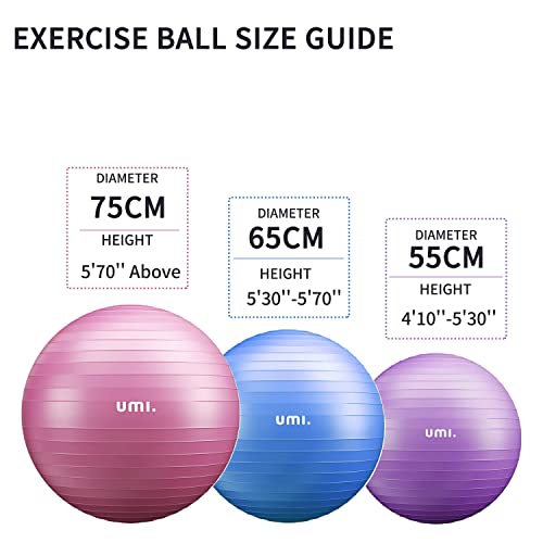 Umi. by Amazon - Pelota de Ejercicio Gym Ball para fitness, yoga, pilates, Embarazo y Sentarse,65 or 75 cm