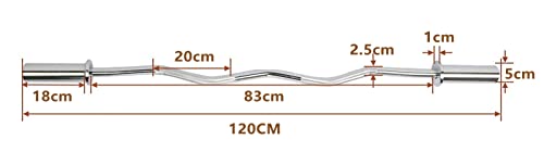 uyoyous Fitness Curlstange 50 mm, Langhantelstange 120 cm, Ø50 mm Stab-Set con Curl y Langhantelstange,St Federverschluss - SZ Stange, Hantelstange Curl Langhantelstange,Stahl-Verchromt