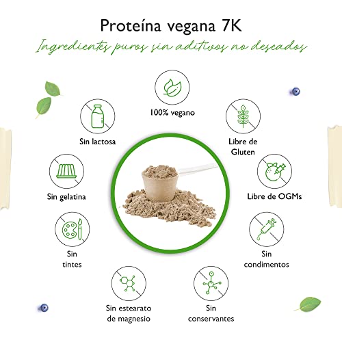 Vegan 7K Protein - 1kg - Vainilla Grosella Negra - Proteína vegetal pura en polvo con proteínas de arroz, almendra, soja, guisante, cáñamo, arándano y girasol