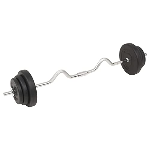 vidaXL Juego de mancuernas y mancuernas con placa de peso libre, artículos deportivos, ejercicio, levantamiento de pesas, entrenamiento, pecho, bíceps, brazo, 66 libras