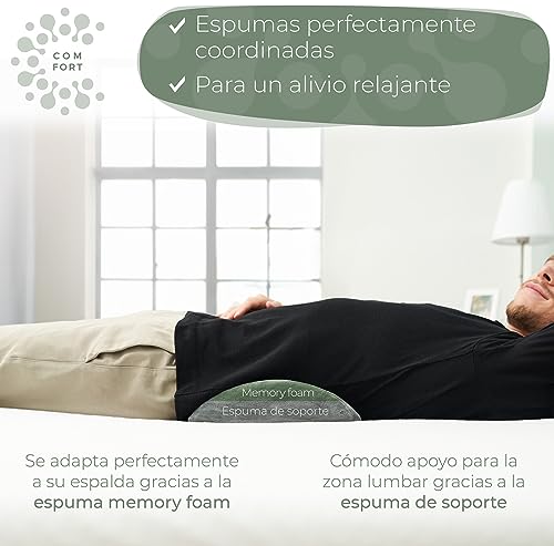 Well B4 Almohada Lumbar Ergonómica, Almohada de Apoyo Lumbar para Cama y Sofá para Apoyar la Espalda al Estar Tumbado, Cojin Lumbar para la Parte Baja de la Espalda, Almohada de Apoyo Lumbar