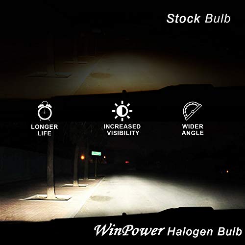 WinPower H9 12V 65W Bombilla Halógena Faros delanteros Luz alta 5000K Blanco cálido para coche/moto actualización de faros originales, Paquete doble