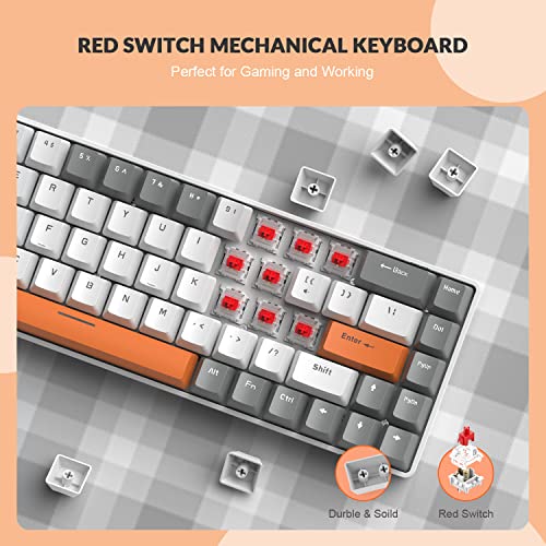 YINDIAO ZIYOULANG T8 60% Teclado para Juegos,68 Teclas,US Layoout,Teclado Mecánico con Cable Compacto,18 Croma RGB Retroiluminado,Interruptor Rojo,Cable en Espiral USB C,para PC,Mac,PS4 -Gris Claro