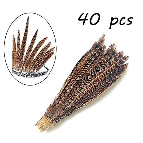 Zasvec Plumas Naturales 40 Piezas Plumas de Faisán 20-25cm Plumas Manualidades Plumas de Cola de Faisán Naturales Plumas de la Decoración Plumas de Pollo Naturales para DIY Artesanía