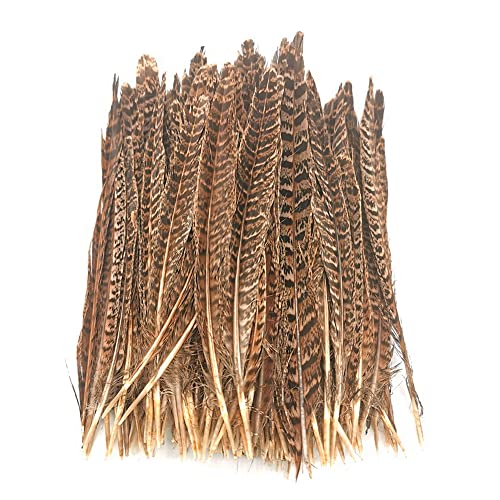 Zasvec Plumas Naturales 40 Piezas Plumas de Faisán 20-25cm Plumas Manualidades Plumas de Cola de Faisán Naturales Plumas de la Decoración Plumas de Pollo Naturales para DIY Artesanía