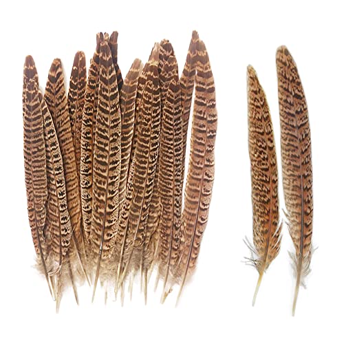 Zasvec Plumas Naturales 40 Piezas Plumas de Faisán 20-25cm Plumas Manualidades Plumas de Cola de Faisán Naturales Plumas de la Decoración Plumas de Pollo Naturales para DIY Artesanía