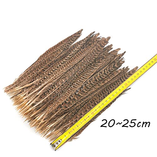 Zasvec Plumas Naturales 40 Piezas Plumas de Faisán 20-25cm Plumas Manualidades Plumas de Cola de Faisán Naturales Plumas de la Decoración Plumas de Pollo Naturales para DIY Artesanía