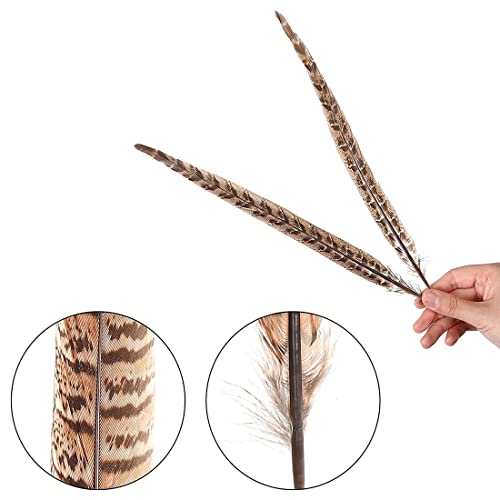 Zeayebsr 20 piezas de plumas de cola de faisán naturales de 20-25 cm para bodas, decoraciones para fiestas de cumpleaños