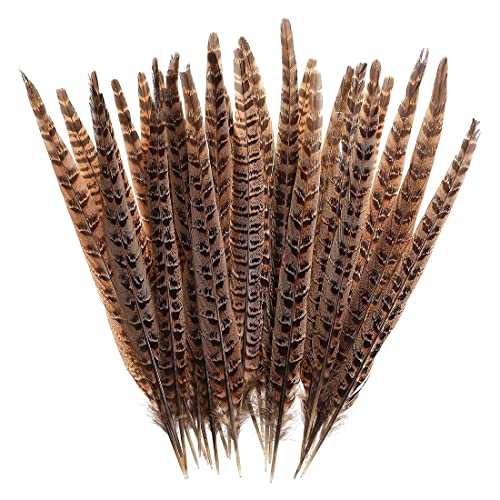 Zeayebsr 20 piezas de plumas de cola de faisán naturales de 20-25 cm para bodas, decoraciones para fiestas de cumpleaños