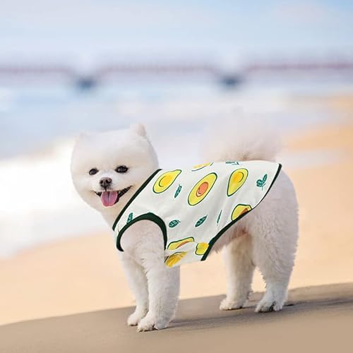 2 Pcs Camisas para Perros, Lindo Transpirable Deportivo para Perros con Patrones Frutas, Verano Camiseta de Algodón, Cachorros Chaleco Suave, Ropa de Mascotas para Pequeños Medianos Perro Gato (Small)