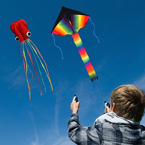 2pcs Cometa de ZoomSky de Iris de Triangular y Pulpo bagre Color Vario Rainbow de Volar con Viento Suave para los niños y Adultos (Triangular y Pulpo)