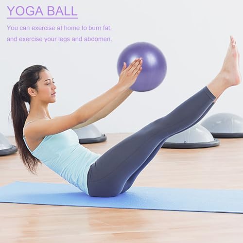 5 Piezas Pelota de Pilates Set, Mini Pelota de Ejercicio con Correa de Tensión, Almohadillas Deslizantes, Pelota Pilates de 25cm para Yoga, Entrenamiento de Core, Equilibrio, Estiramiento