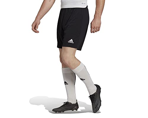 adidas Entrada 22 Shorts Bermudas, Black, M Hombre