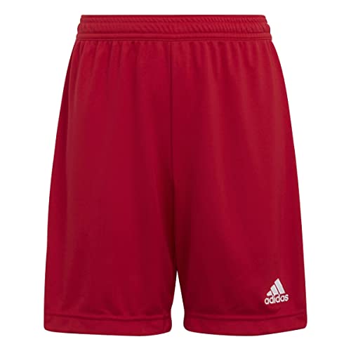 adidas Entrada 22 Shorts Bermudas, Team Power Red 2, 140 Unisex niños