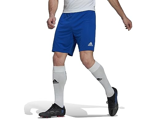 adidas Entrada 22 Shorts Bermudas, Team Royal Blue, L Hombre