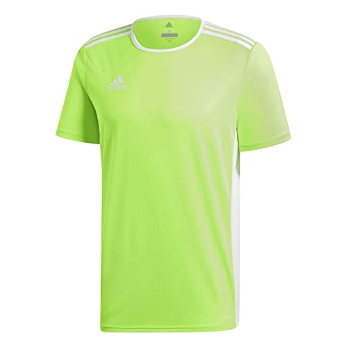 adidas Entrada 91 Camiseta de Manga Corta, Hombre, Verde (Solar Green/White), XS