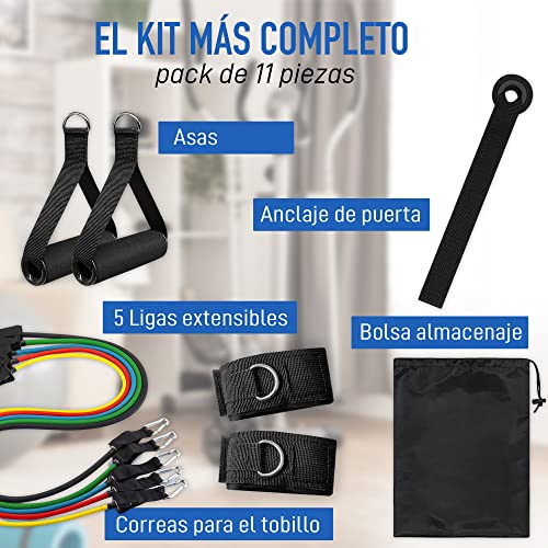 Agisports Bandas de Resistencia Crossfit - 11 Piezas, 5 Niveles de Resistencia, 150Lbs - Ideal para Crossfit, Fitness, Fisioterapia y Gimnasio en Casa