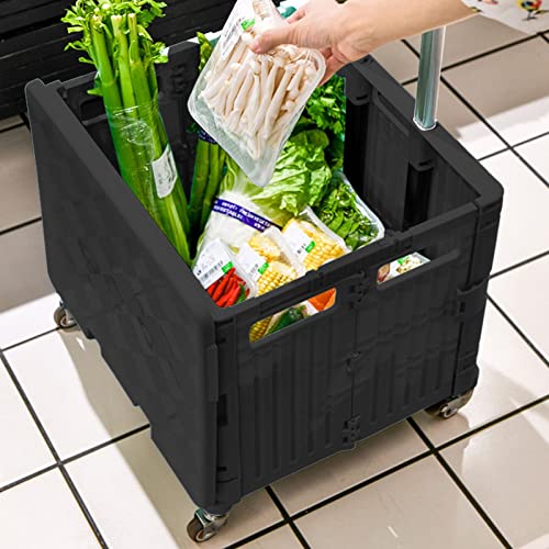 Ailopta Compra Plegable, Caja con Ruedas, Compra con Asa Telescópica PP Alta Resistencia, Capacidad 65 L 35 Kg Compra para Compras, Jardín Y Camping